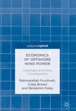 Economics Of Offshore Wind Power Challenges And Policy Considerations 1st Edition Rahmatallah Poudineh