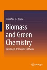 Biomass And Green Chemistry Building A Renewable Pathway 1st Edition Slvio Vaz Jr Eds
