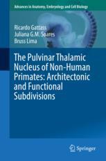 The Pulvinar Thalamic Nucleus Of Nonhuman Primates Architectonic And Functional Subdivisions 1st Edition Ricardo Gattass