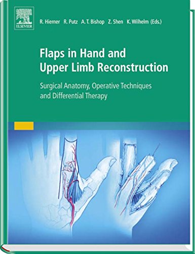 Flaps In Hand And Upper Limb Reconstruction Surgical Anatomy Operative Techniques And Differential Therapy Robert Hierner Et Al Eds
