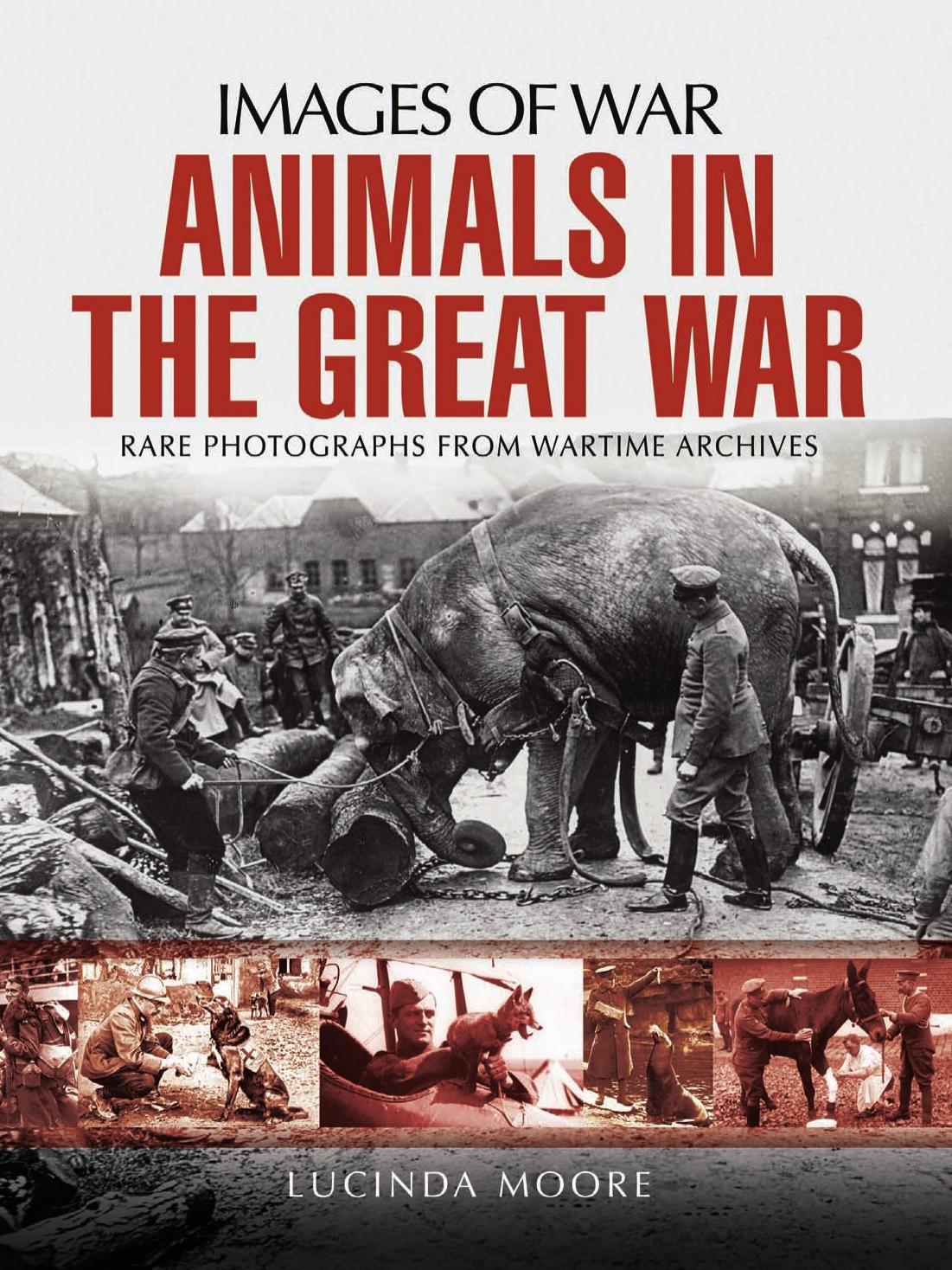 Animals In The Great War 1st Edition Lucinda Moore