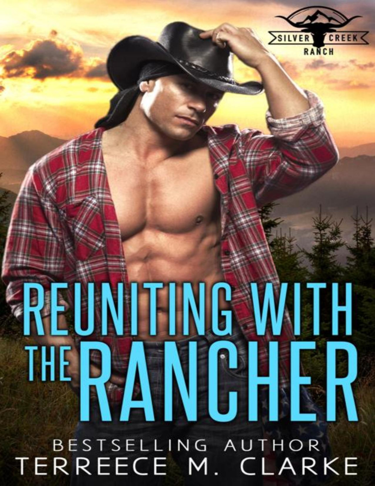 Reuniting With The Rancher Terreece M Clarke