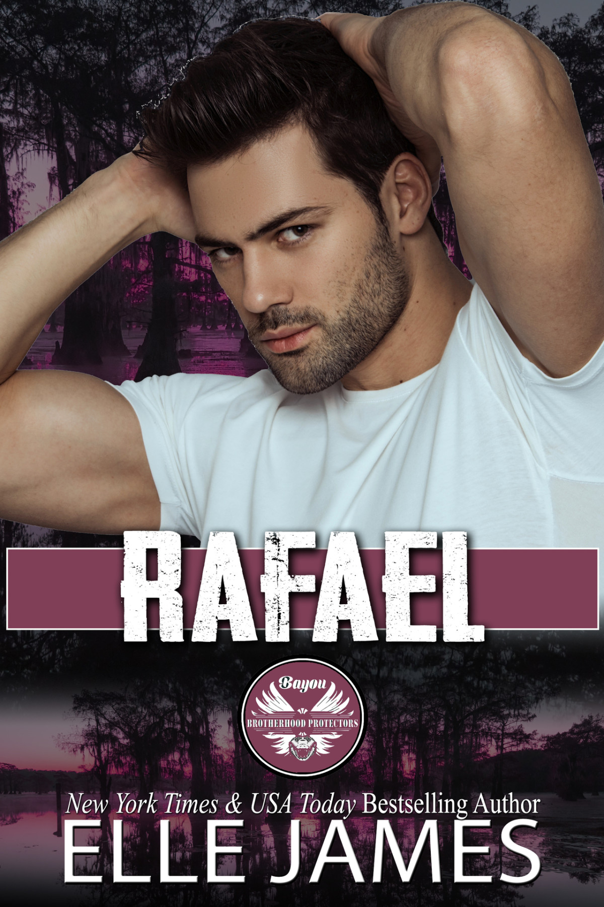 Rafael Bayou Brotherhood Protectors Book 5 Elle James