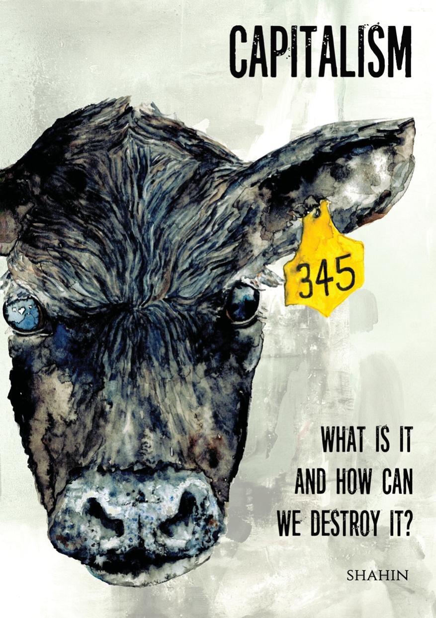 Capitalism What Is It And How Can We Destroy It Shahin