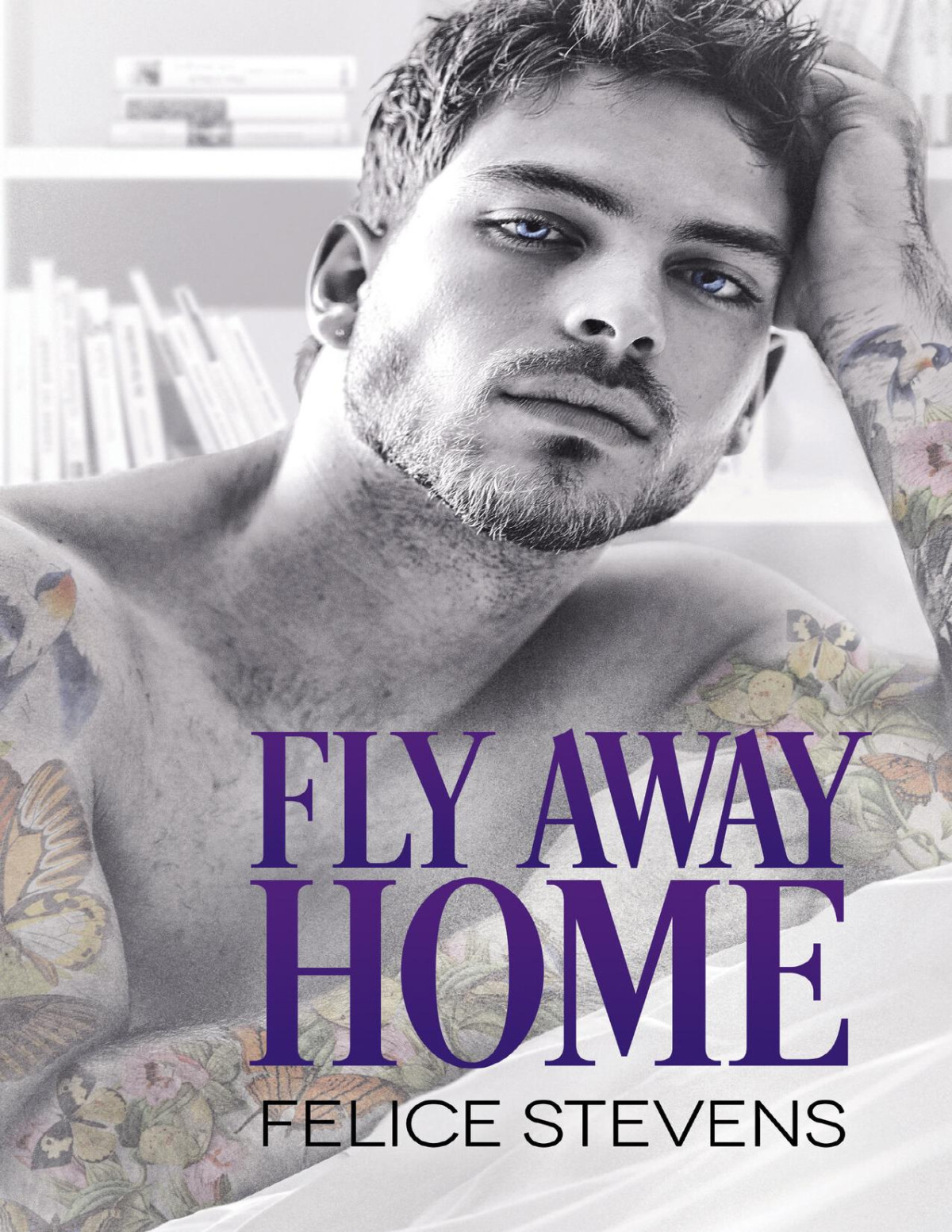 Fly Away Home Felice Stevens