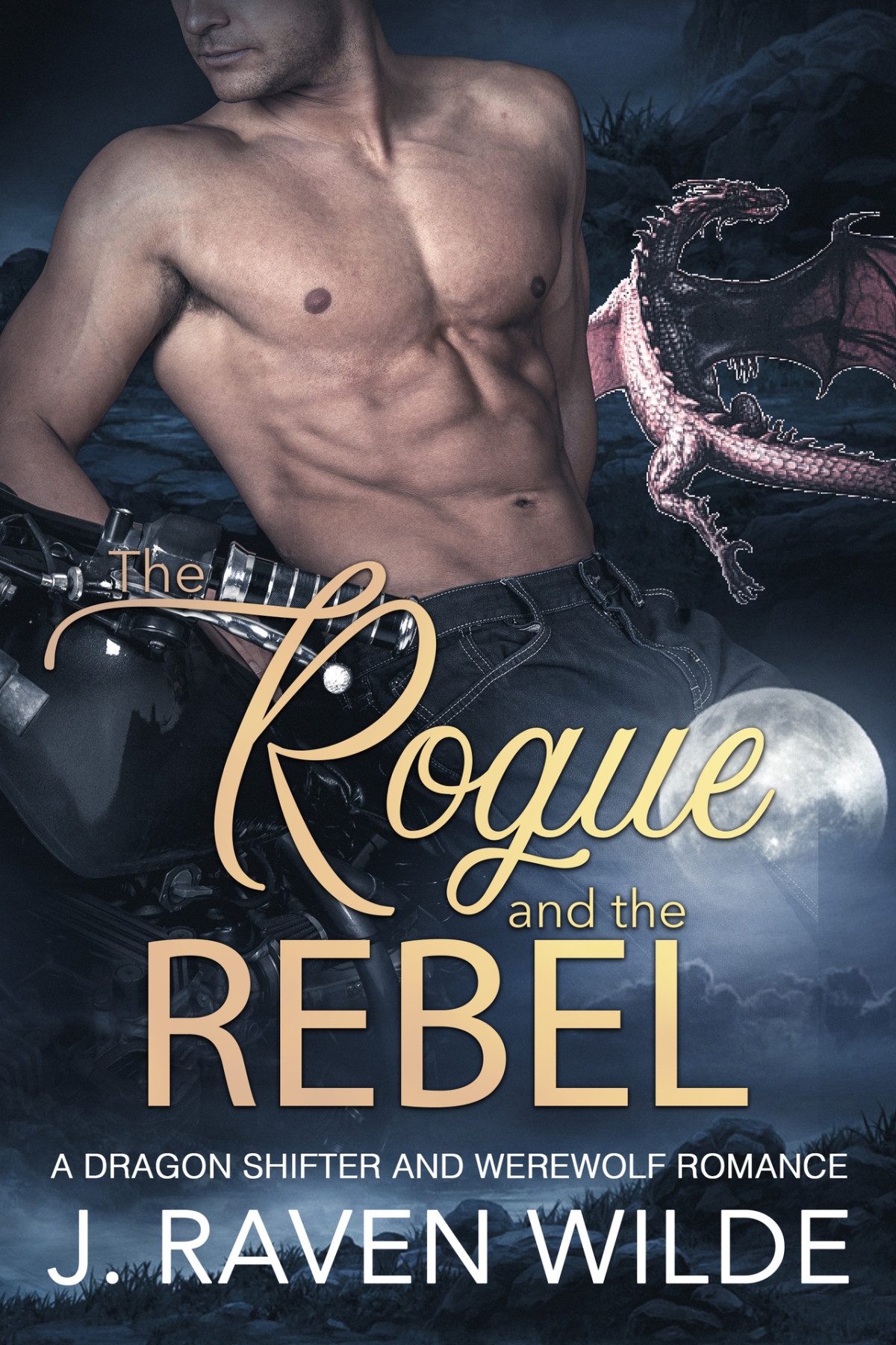 The Rogue And The Rebel A Fated Mates Werewolf And Dragon Shifter Romance Sanctuary Series Book 3 J Raven Wilde