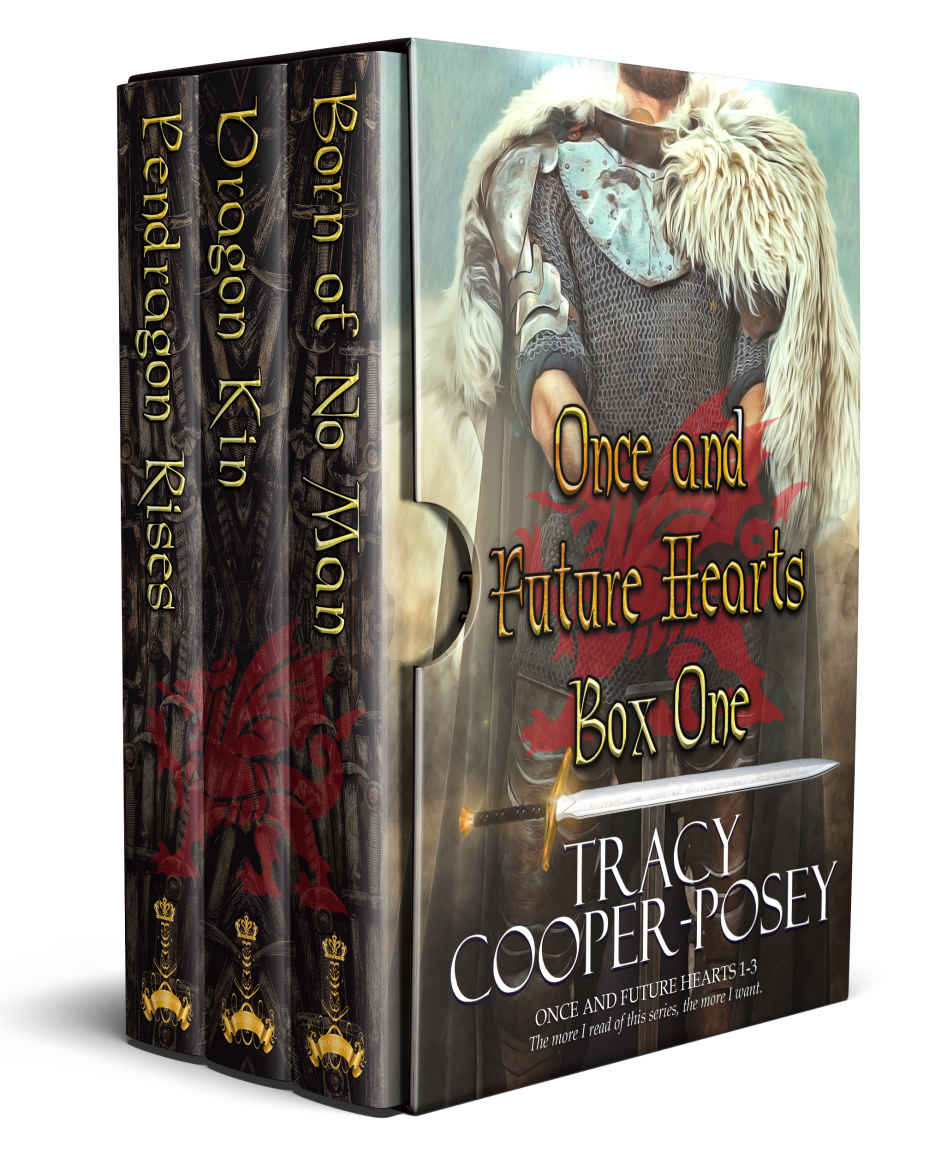 Once And Future Hearts Box One Tracy Cooperposey