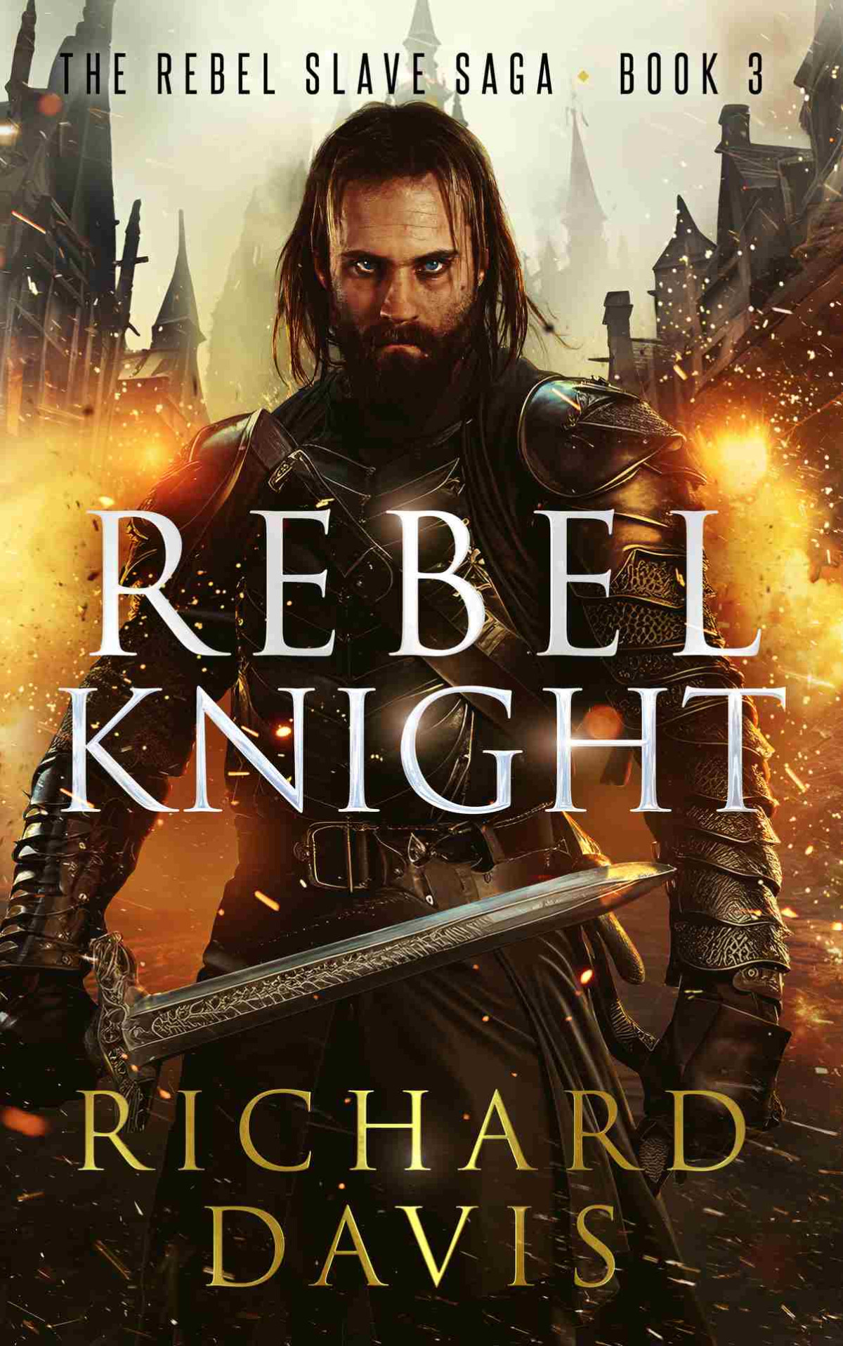 Rebel Knight Richard Davis