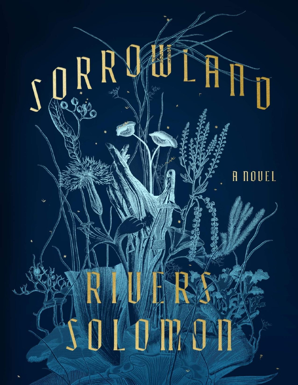 Sorrowland Rivers Solomon