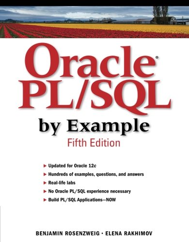 Oracle Plsql By Example 5th Edition Benjamin Rosenzweig Elena Rakhimov