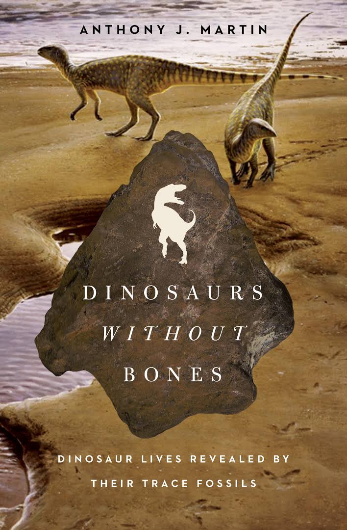 Dinosaurs Without Bones Dinosaur Lives Revealed By Their Trace Fossils Anthony J Martin