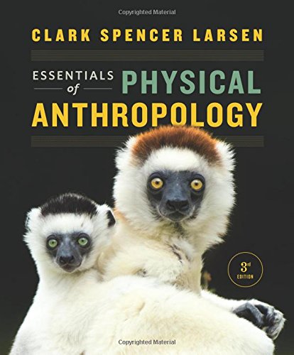 Essentials Of Physical Anthropology 3rd Clark Spencer Larsen