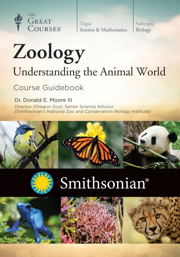 Zoology Understanding The Animal World Donald E Moore Iii