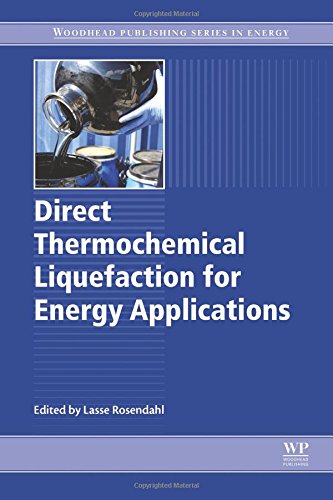 Direct Thermochemical Liquefaction For Energy Applications 1st Edition Lasse Rosendahl