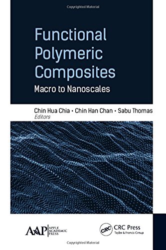 Functional Polymeric Composites Macro To Nanoscales 1st Edition Chin Hua Chia