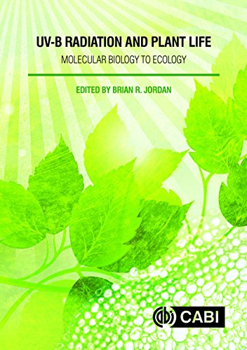 Uvb Radiation And Plant Life Molecular Biology To Ecology Brian R Jordan
