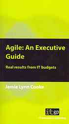 Agile An Executive Guide Real Results From It Budgets Cooke