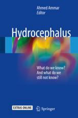 Hydrocephalus What Do We Know And What Do We Still Not Know 1st Edition Ahmed Ammar Eds