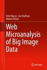 Web Microanalysis Of Big Image Data 1st Edition Peter Bajcsy