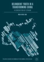 Delinquent Youth In A Transforming China A Generation Of Strain 1st Edition Wanning Bao Auth