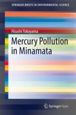 Mercury Pollution In Minamata 1st Edition Hisashi Yokoyama Auth