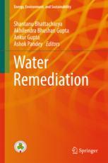 Water Remediation 1st Edition Shantanu Bhattacharya Akhilendra Bhushan Gupta