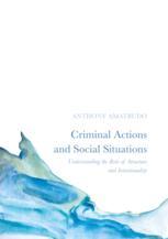 Criminal Actions And Social Situations Understanding The Role Of Structure And Intentionality 1st Edition Anthony Amatrudo Auth