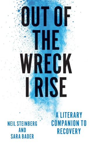 Out Of The Wreck I Rise A Literary Companion To Recovery 1st Edition Neil Steinberg