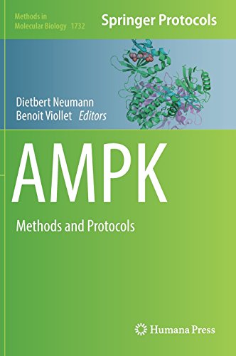 Ampk Methods And Protocols 1st Ed 2018 Dietbert Neumann Benoit Viollet