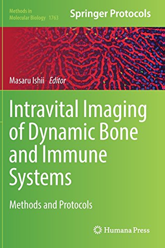 Intravital Imaging Of Dynamic Bone And Immune Systems Methods And Protocols 1st Ed 2018 Masaru Ishii
