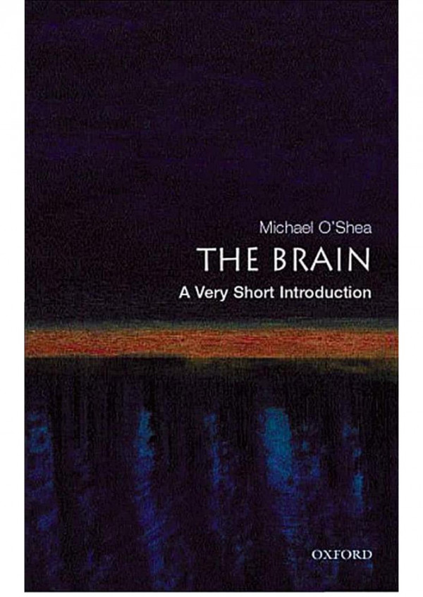 The Brain A Very Short Introduction Michael Oshea
