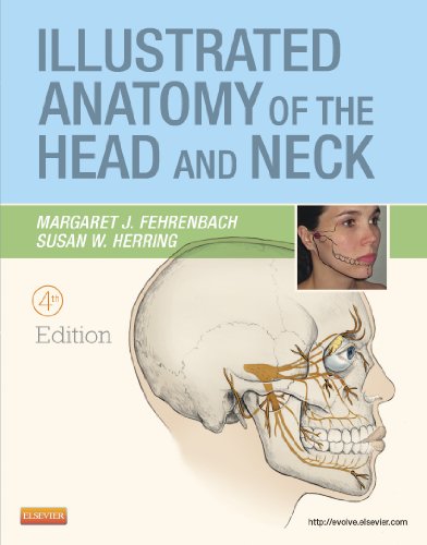 Illustrated Anatomy Of The Head And Neck 4th Margaret J Fehrenbach