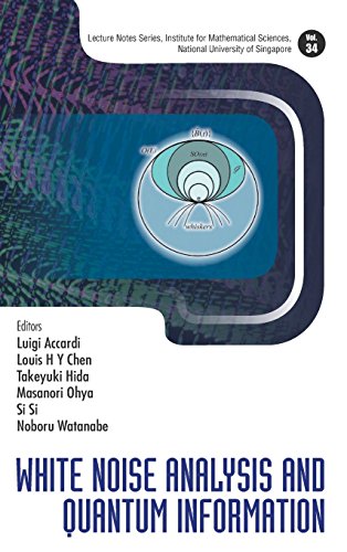 White Noise Analysis And Quantum Information Luigi Accardi Et Al Eds