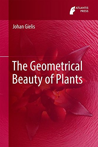 The Geometrical Beauty Of Plants 1st Ed 2017 Johan Gielis