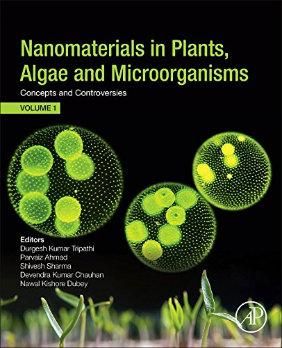 Nanomaterials In Plants Algae And Microorganisms Concepts And Controversies 1st Edition Durgesh Kumar Tripathi Et Al Eds