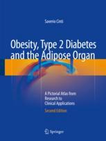 Obesity Type 2 Diabetes And The Adipose Organ A Pictorial Atlas From Research To Clinical Applications 2nd Edition Saverio Cinti Auth