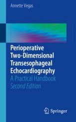 Perioperative Twodimensional Transesophageal Echocardiography A Practical Handbook 2nd Edition Annette Vegas Auth