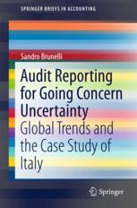 Audit Reporting For Going Concern Uncertainty Global Trends And The Case Study Of Italy 1st Edition Sandro Brunelli Auth