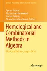 Homological And Combinatorial Methods In Algebra Saa 4 Ardabil Iran August 2016 1st Edition Ayman Badawi