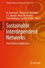 Sustainable Interdependent Networks From Theory To Application 1st Edition M Hadi Amini