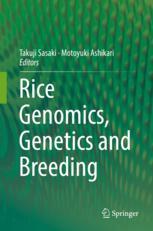 Rice Genomics Genetics And Breeding 1st Edition Takuji Sasaki