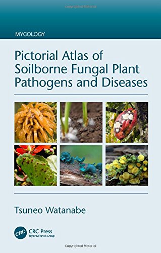Pictorial Atlas Of Soilborne Fungal Plant Pathogens And Diseases 1st Edition Tsuneo Watanabe