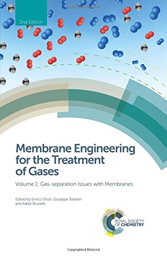 Membrane Engineering For The Treatment Of Gases Volume 1 Gasseparation Issues With Membranes Edition 2 2nd Edition Enrico Drioli