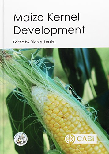 Maize Kernel Development Brian A Larkins