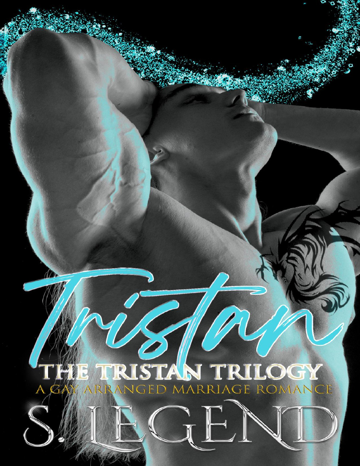 Tristan The Tristan Trilogy A Gay Arranged Marriage Romance S Legend