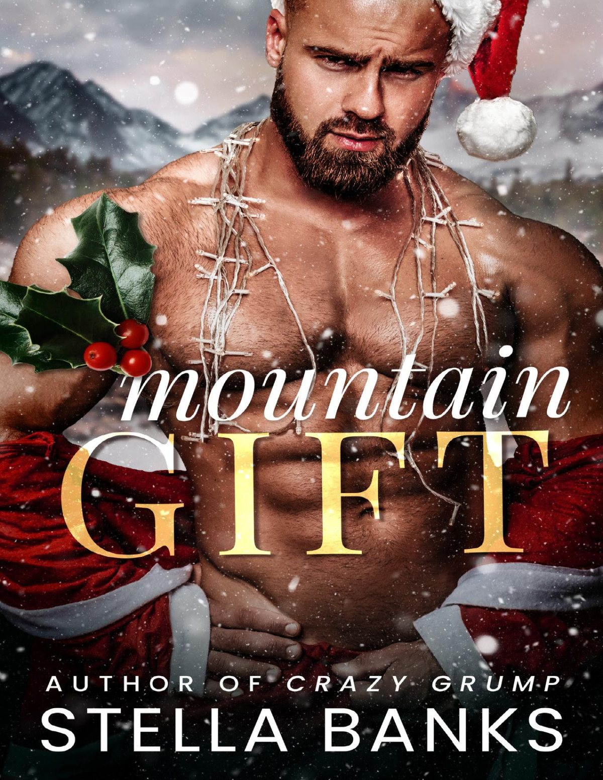 Mountain Gift An Over 40 Holiday Instalove Fit Mountain Christmas Book 3 Stella Banks