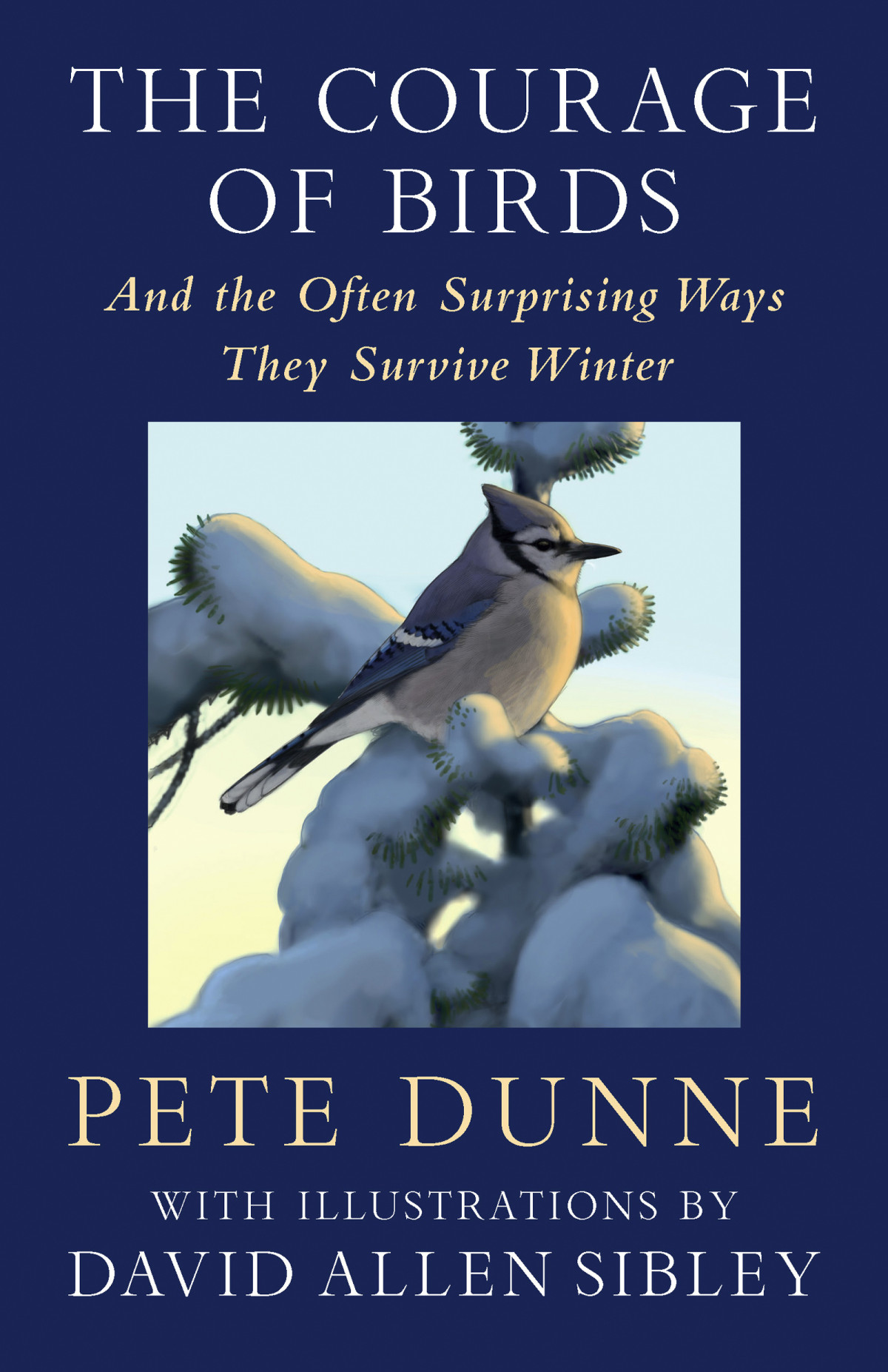 The Courage Of Birds Pete Dunne