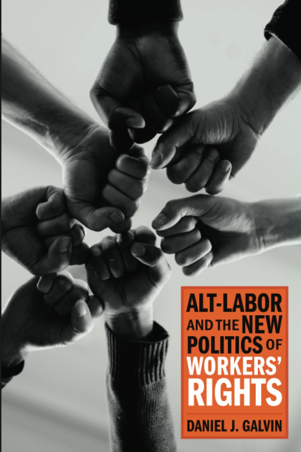 Altlabor And The New Politics Of Workers Rights Daniel J Galvin