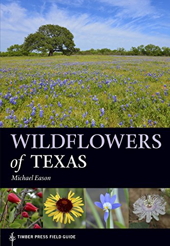 Wildflowers Of Texas Michael Eason