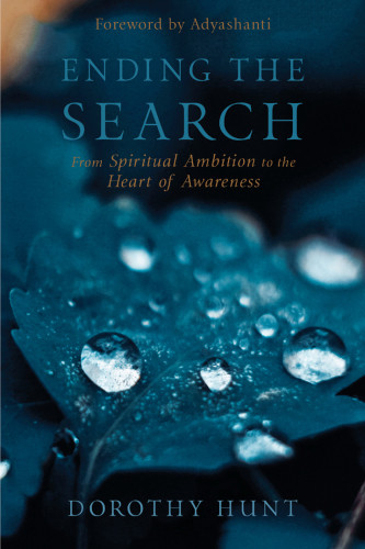 Ending The Search From Spiritual Ambition To The Heart Of Awareness Dorothy S Hunt